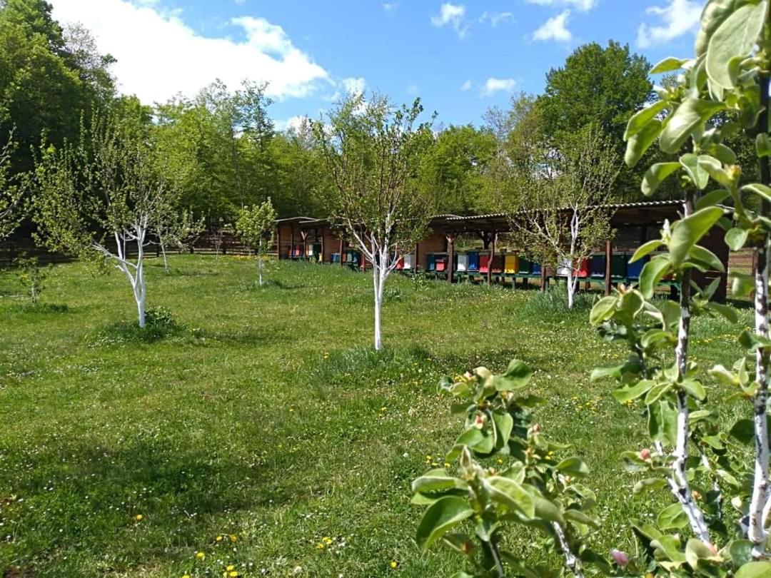 Apartmán Marija Perusic