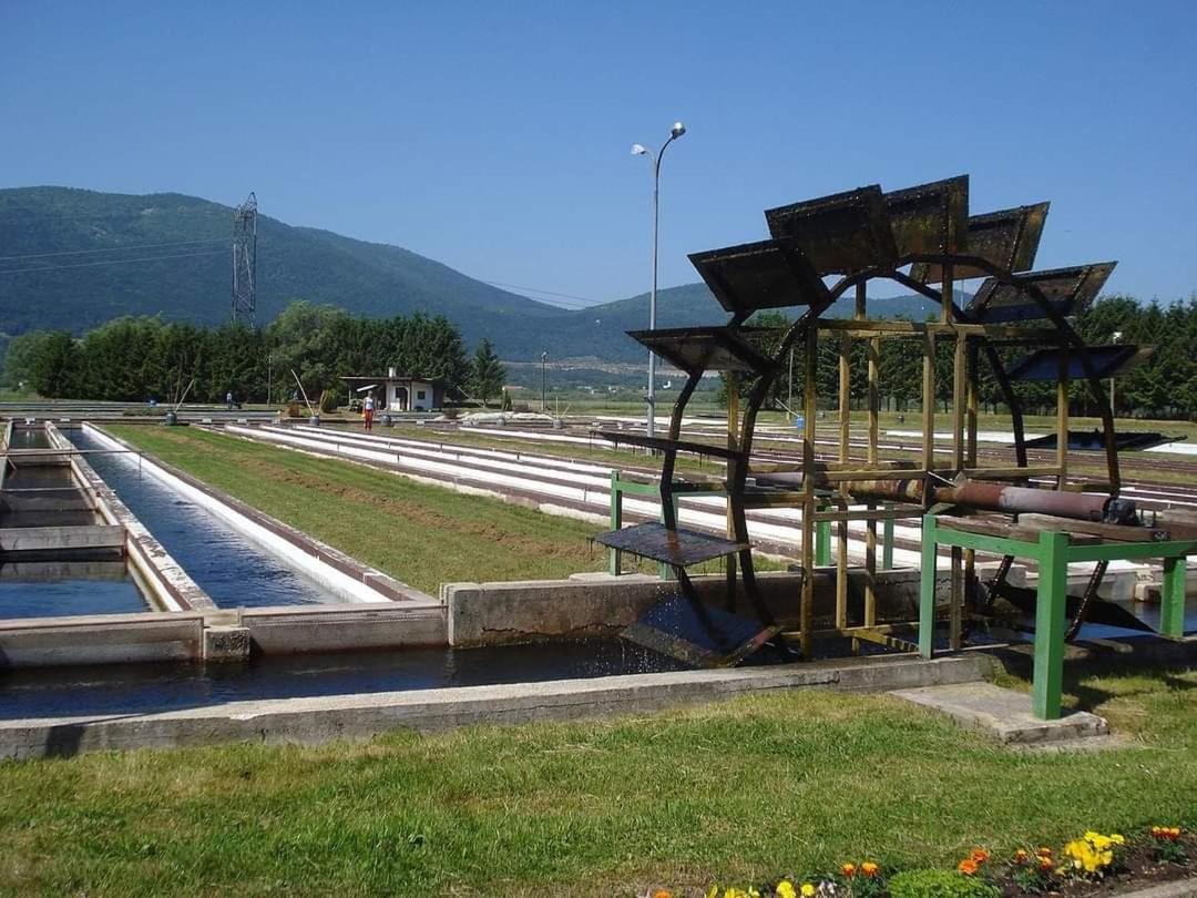 Apartmán Marija
